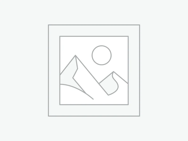 Uncategorized